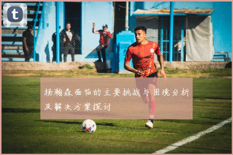 杨瀚森面临的主要挑战与困境分析及解决方案探讨