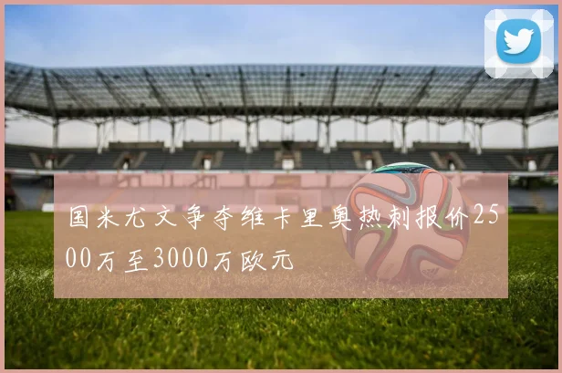国米尤文争夺维卡里奥热刺报价2500万至3000万欧元