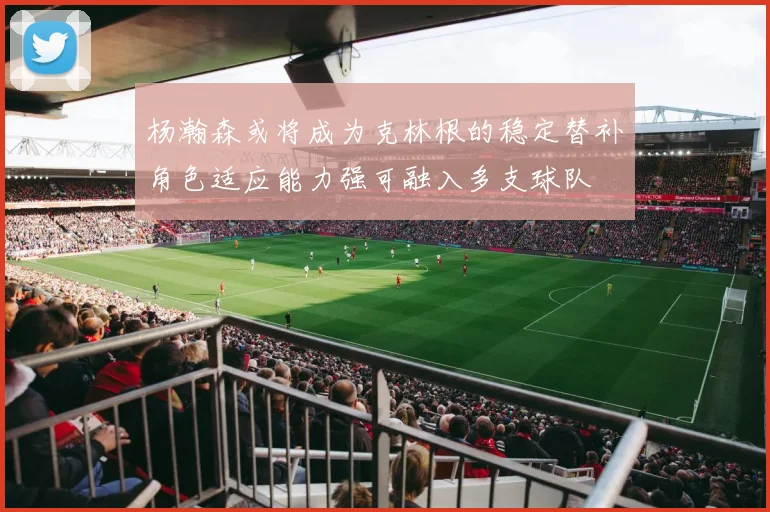 杨瀚森或将成为克林根的稳定替补角色适应能力强可融入多支球队